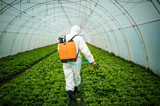 Best Pest Prevention Services  in Tillmans Corner, AL