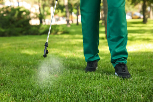 Best Cockroach Control Services  in Tillmans Corner, AL