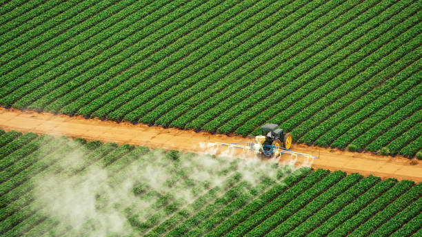 Best Exterminator Services  in Tillmans Corner, AL