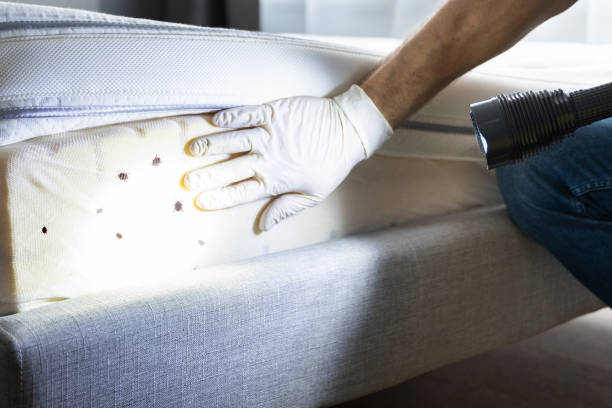 Best Pest Prevention Services  in Tillmans Corner, AL