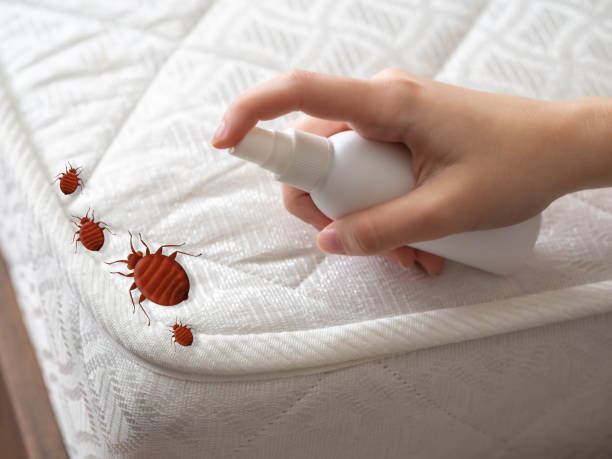 Best Best Pest Control Companies  in Tillmans Corner, AL
