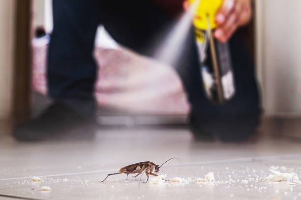 Best Cockroach Control Services  in Tillmans Corner, AL