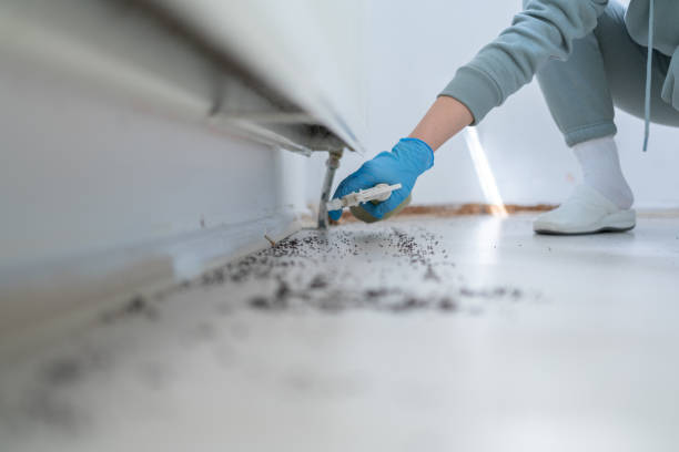 Best Best Pest Control Companies  in Tillmans Corner, AL