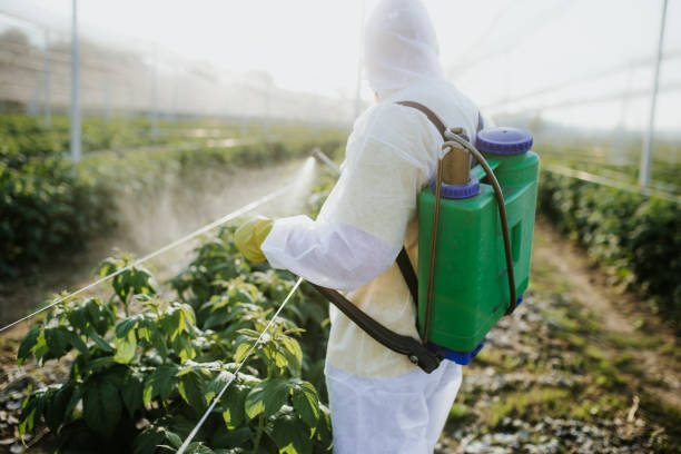  Tillmans Corner, AL Pest Control Pros